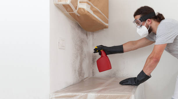Professional Bathroom Mold Removal technician working in Suttons Bay, MI